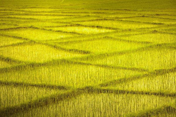 How to leverage equity release for home improvements in the UK?